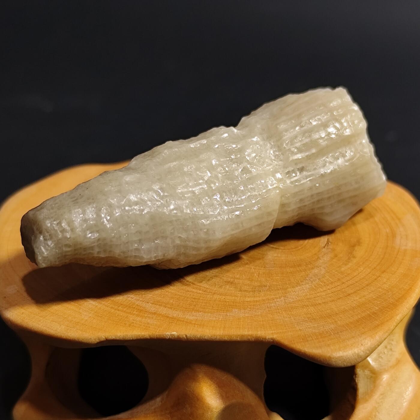 希腊罗马丝路打制币化石【中外钱币放漏】专场！陆小鱼的钱币仓，限时拍卖第080场 4.5亿年前奥陶纪时期海洋古生物化石标本18.9g