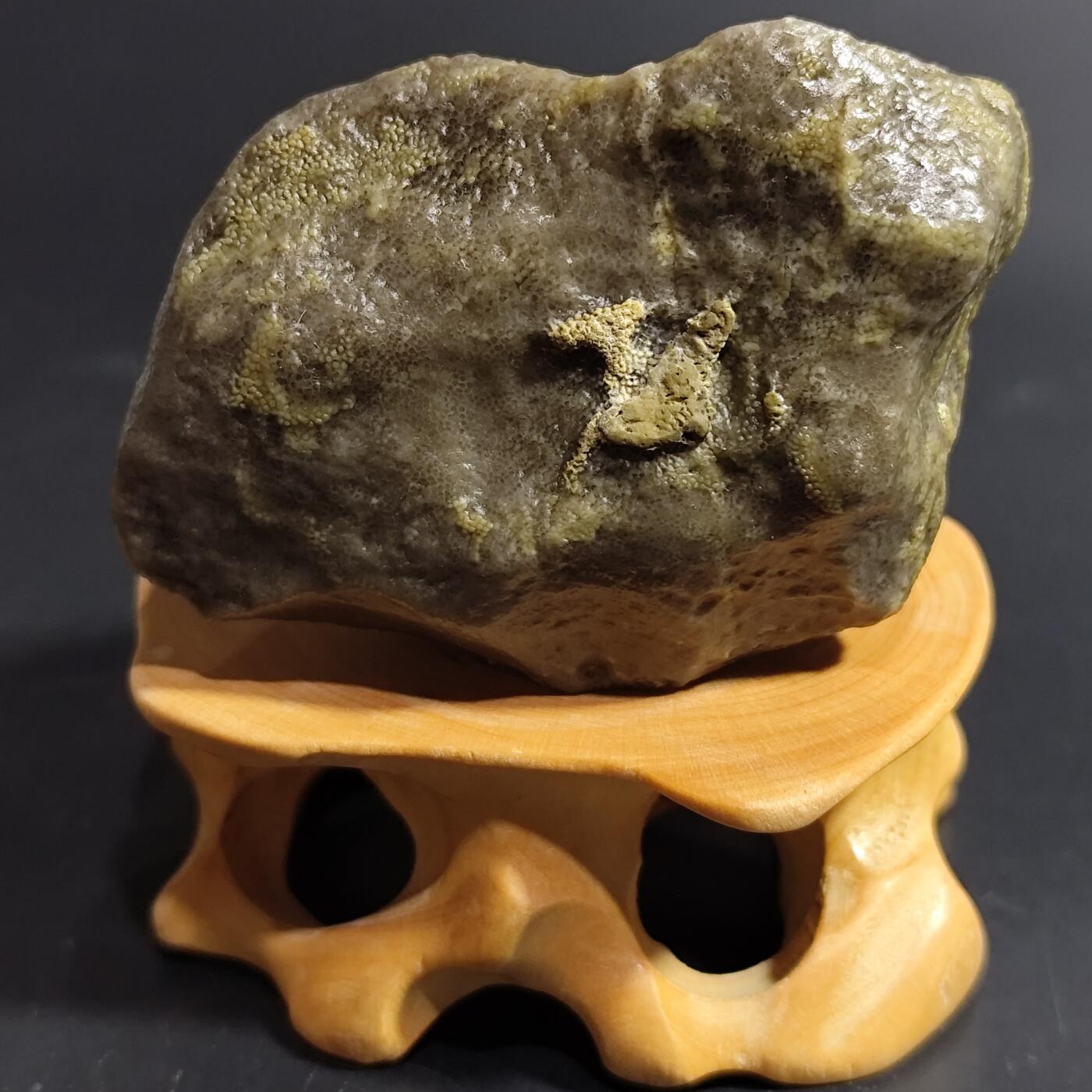 希腊罗马丝路打制币化石【中外钱币放漏】专场！陆小鱼的钱币仓，限时拍卖第080场 4.5亿年前奥陶纪时期海洋古生物化石标本83.9g