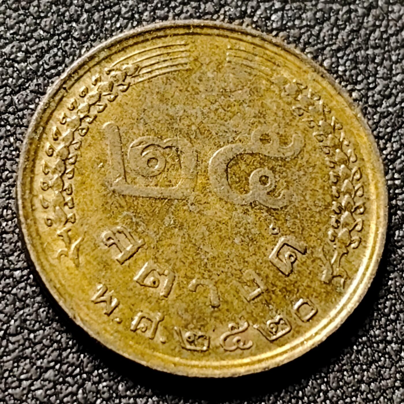 泉币菌-第153场-平安夜专场 。