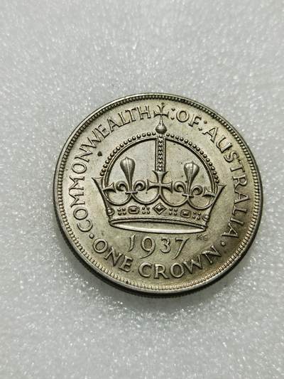 天下钱庄专场欢迎参拍 - 澳大利亚皇冠银币