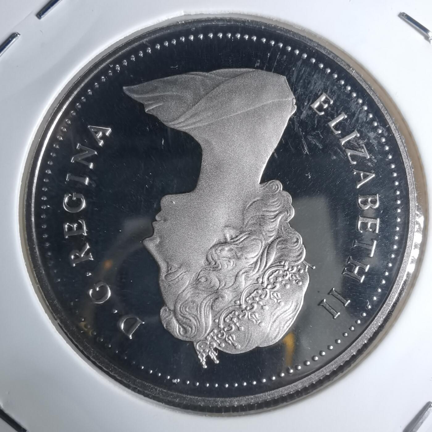 沼泽如烟--第943场 加拿大1985年一元精制币