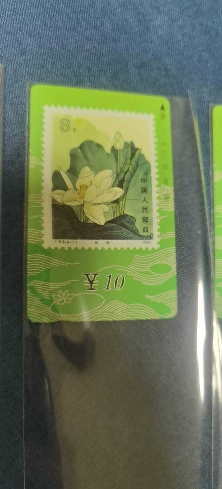 甘肃省荷花邮票田村卡