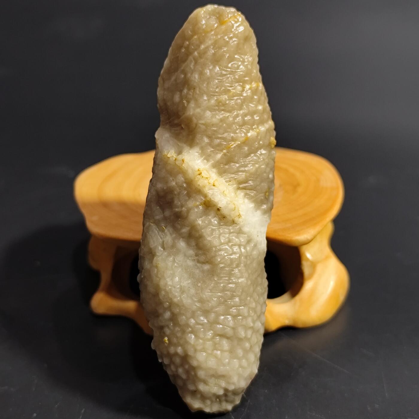 希腊罗马丝路打制币化石【中外钱币放漏】专场！陆小鱼的钱币仓，限时拍卖第080场 4.5亿年前奥陶纪时期海洋古生物化石标本49g