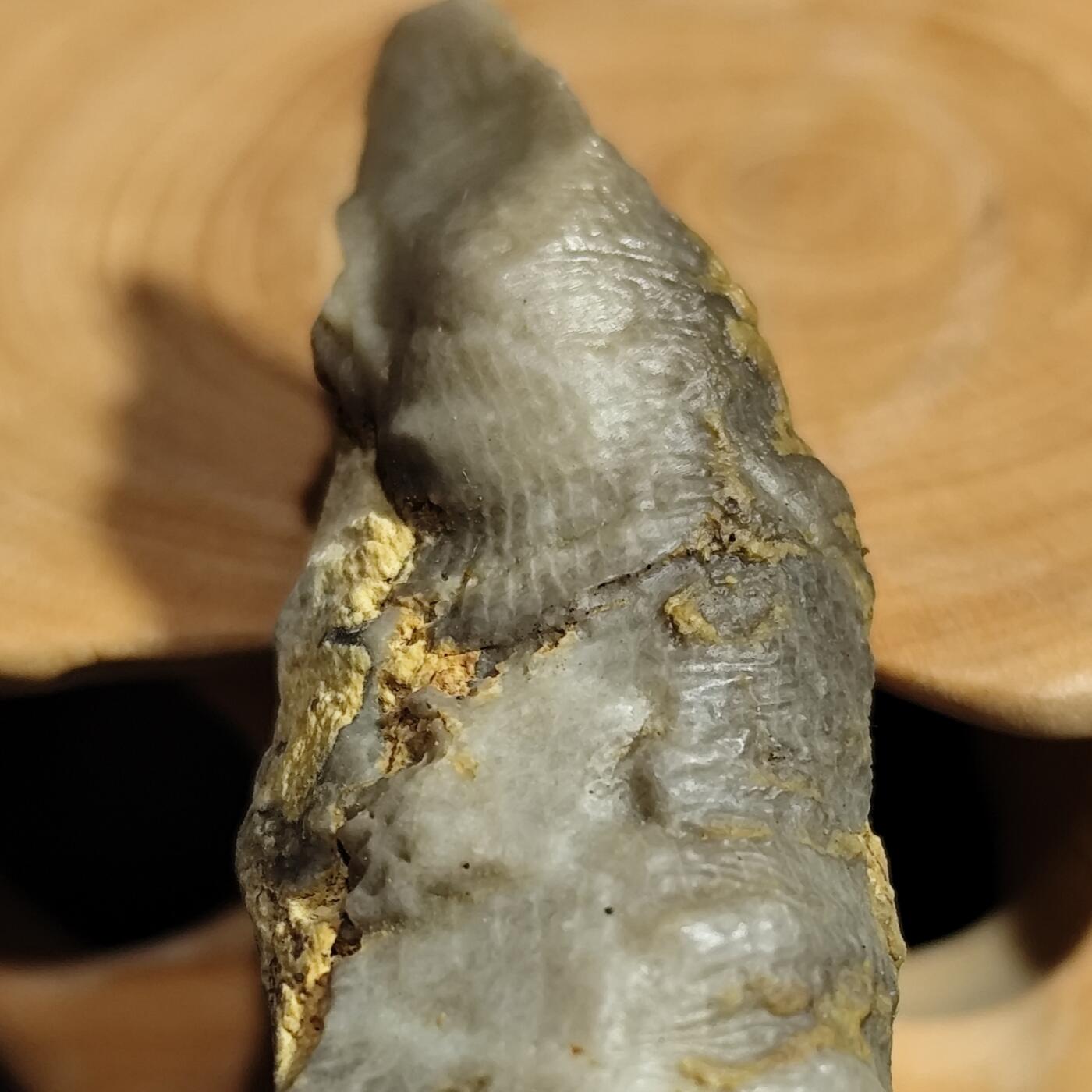 希腊罗马丝路打制币化石【中外钱币放漏】专场！陆小鱼的钱币仓，限时拍卖第080场