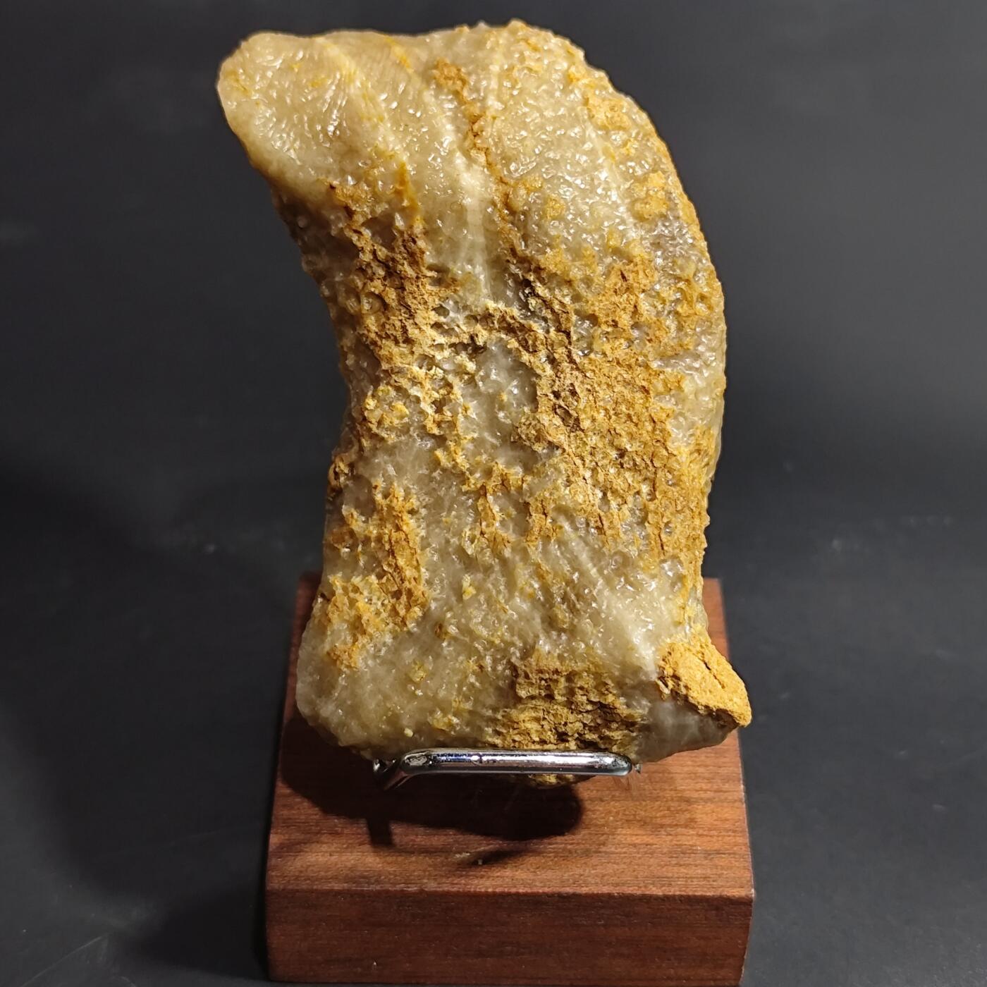 希腊罗马丝路打制币化石【中外钱币放漏】专场！陆小鱼的钱币仓，限时拍卖第080场 4.5亿年前奥陶纪时期海洋古生物化石标本109g