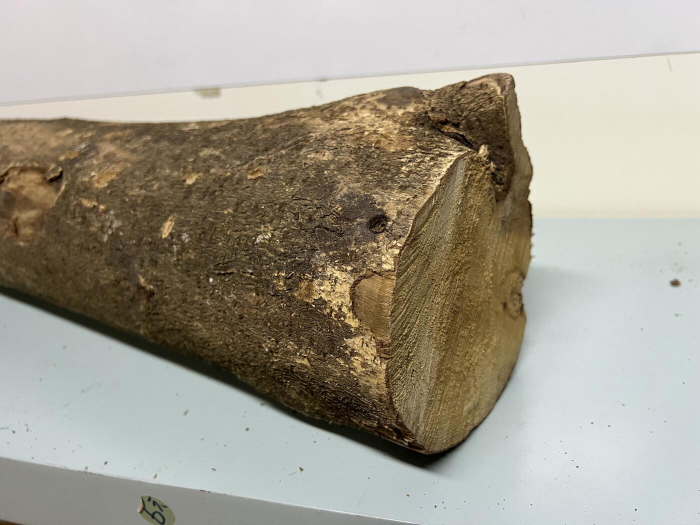 零元拍： 1222-2 金丝楠 原木 风水柱 横财（材）带皮， 尺寸：56/16/13/13/CM。