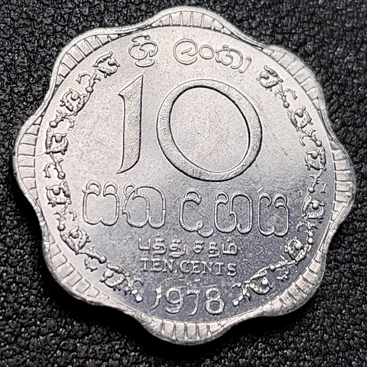 泉币菌-第154场-圣诞节专场 。