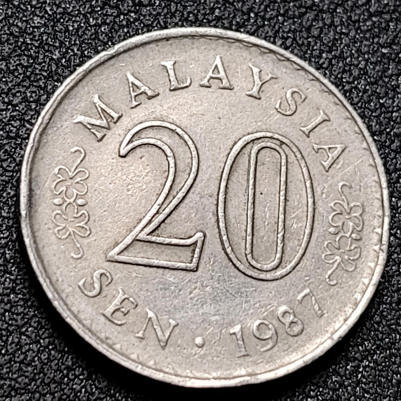 泉币菌-第153场-平安夜专场 。