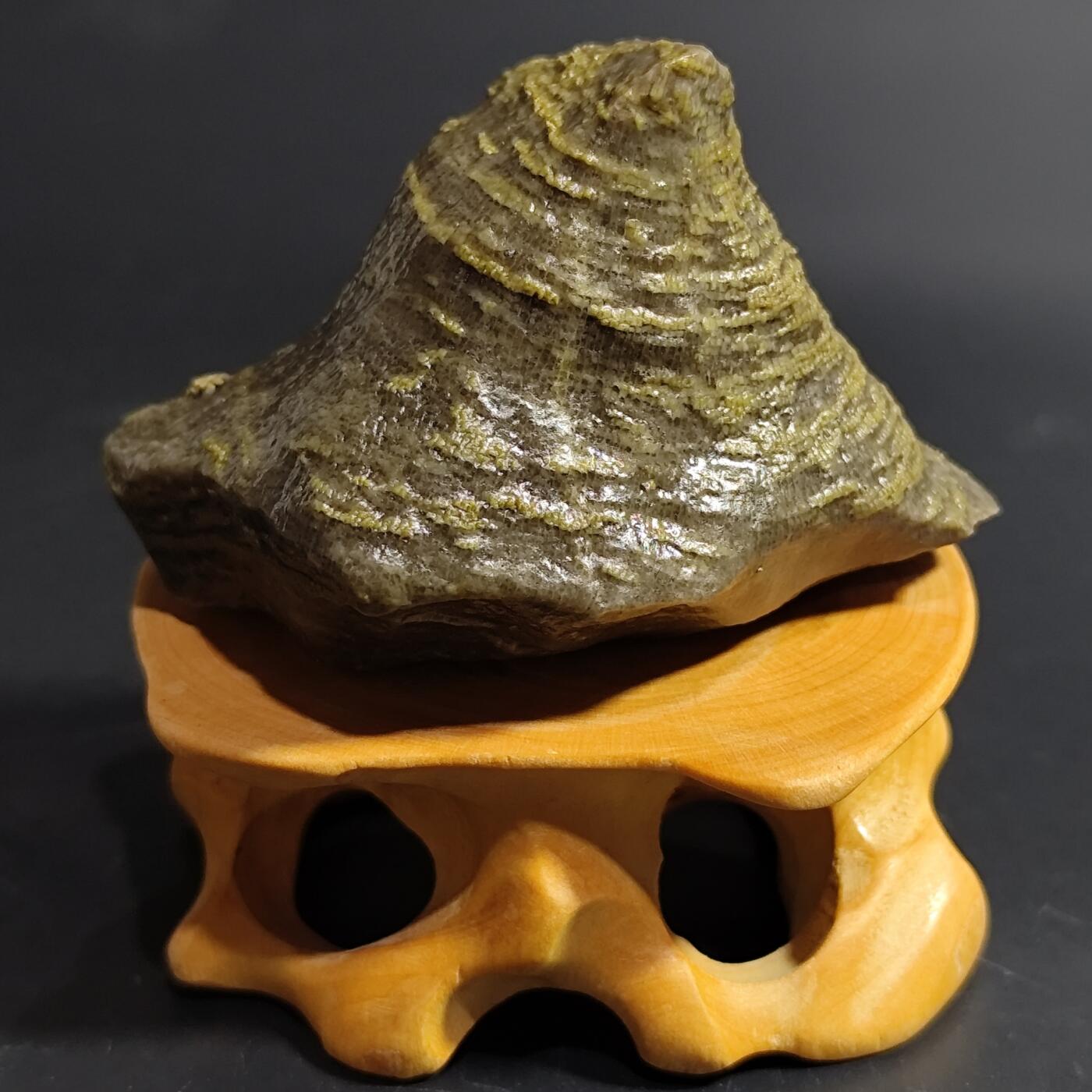 希腊罗马丝路打制币化石【中外钱币放漏】专场！陆小鱼的钱币仓，限时拍卖第080场 4.5亿年前奥陶纪时期海洋古生物化石标本83.9g