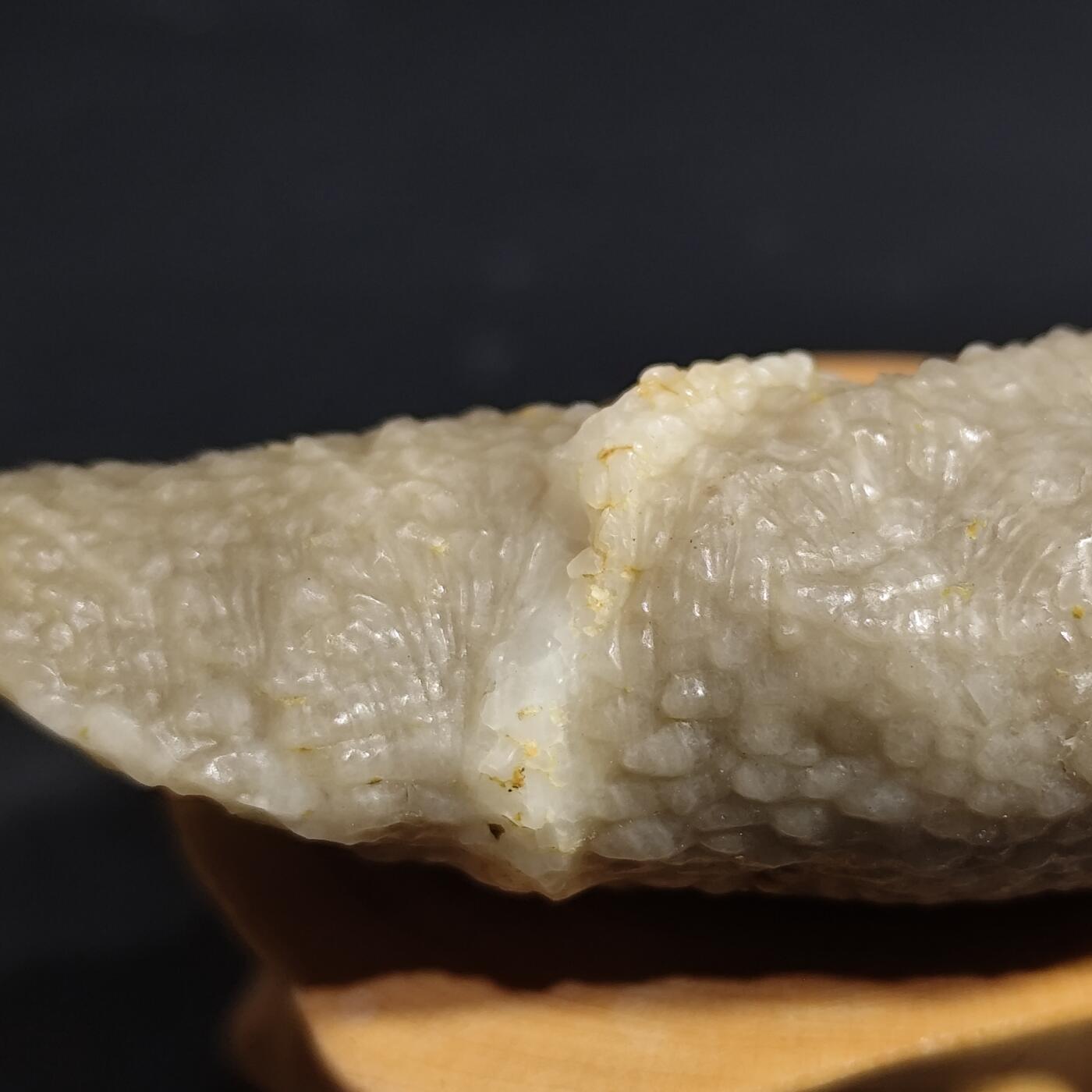 希腊罗马丝路打制币化石【中外钱币放漏】专场！陆小鱼的钱币仓，限时拍卖第080场 4.5亿年前奥陶纪时期海洋古生物化石标本49g