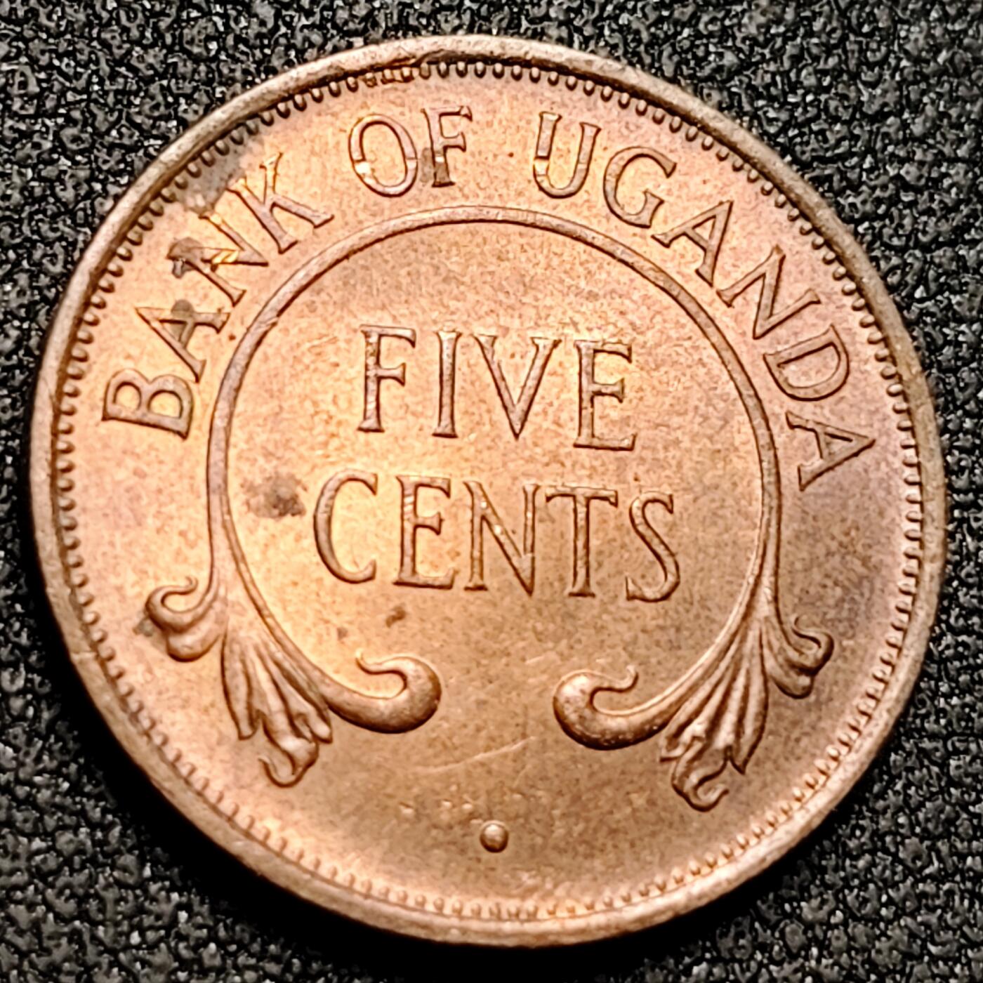 泉币菌-第154场-圣诞节专场 。