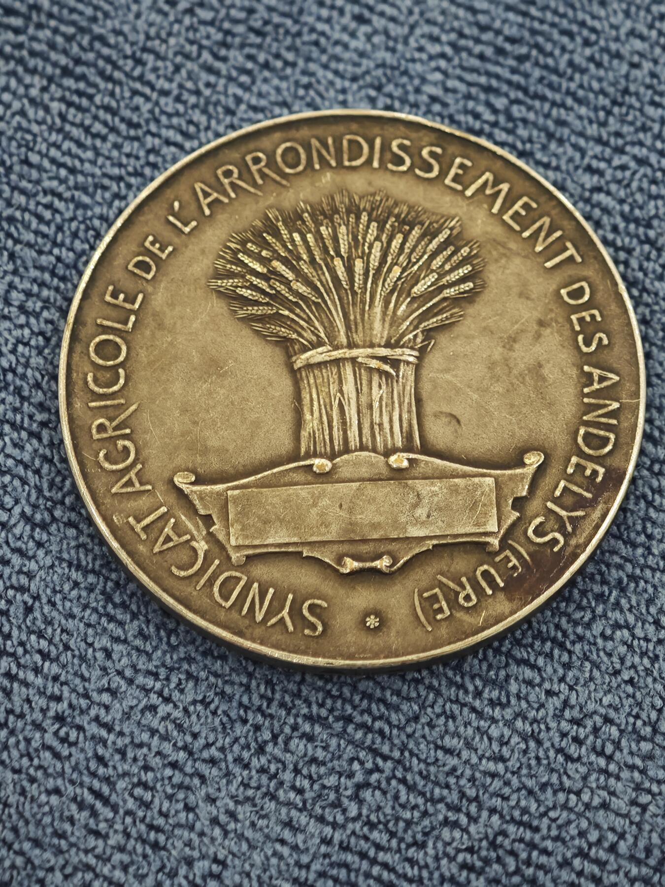 法国厄尔省莱桑迪丽区农业镀银铜章 直径41毫米，重量32.2克