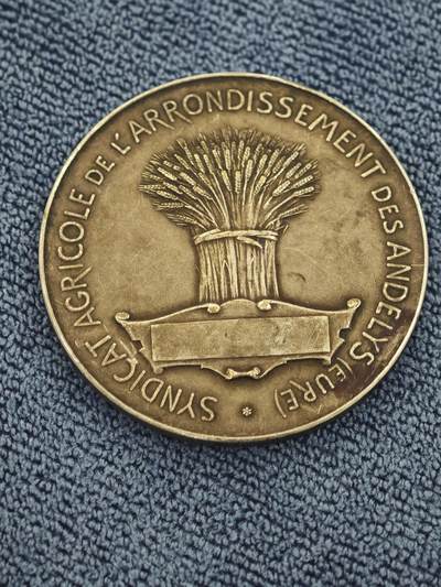 法国厄尔省莱桑迪丽区农业镀银铜章 直径41毫米，重量32.2克 - 法国厄尔省莱桑迪丽区农业镀银铜章 直径41毫米，重量32.2克