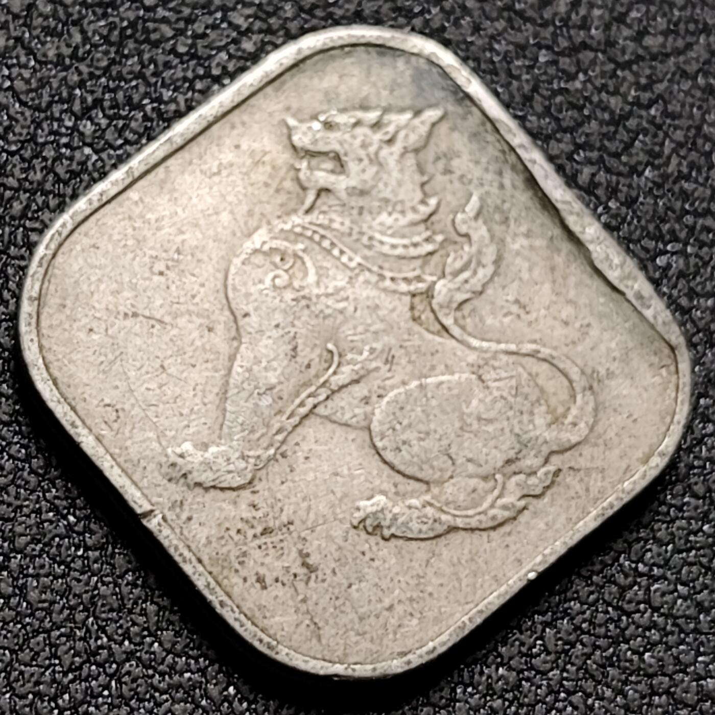 泉币菌-第153场-平安夜专场 。