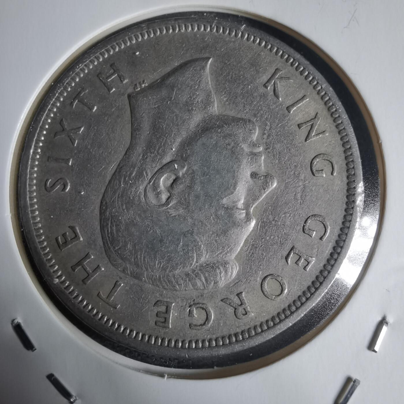 沼泽如烟--第944场