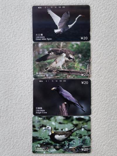 易卡拍卖第64期 - 四川：珍稀鸟类。易卡五星⭐️标。如图所示！