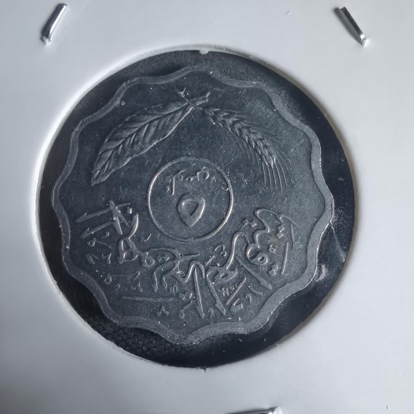 沼泽如烟--第944场