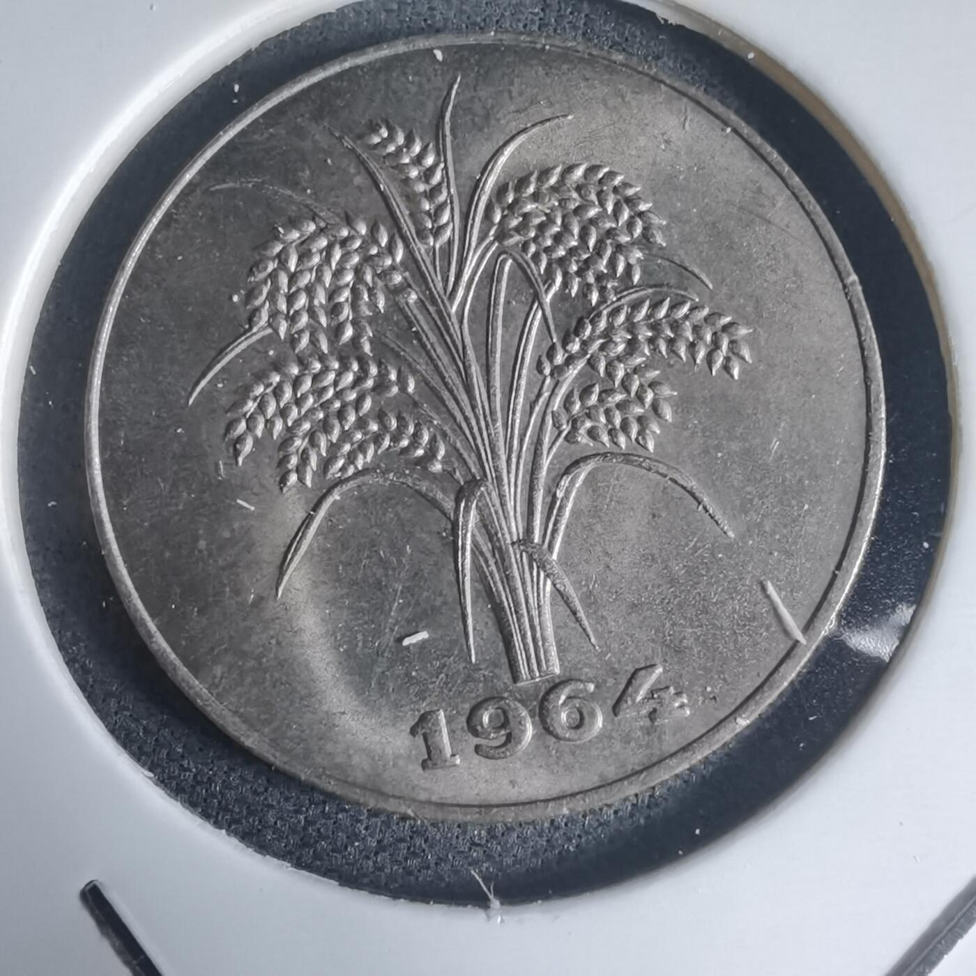 沼泽如烟--第944场