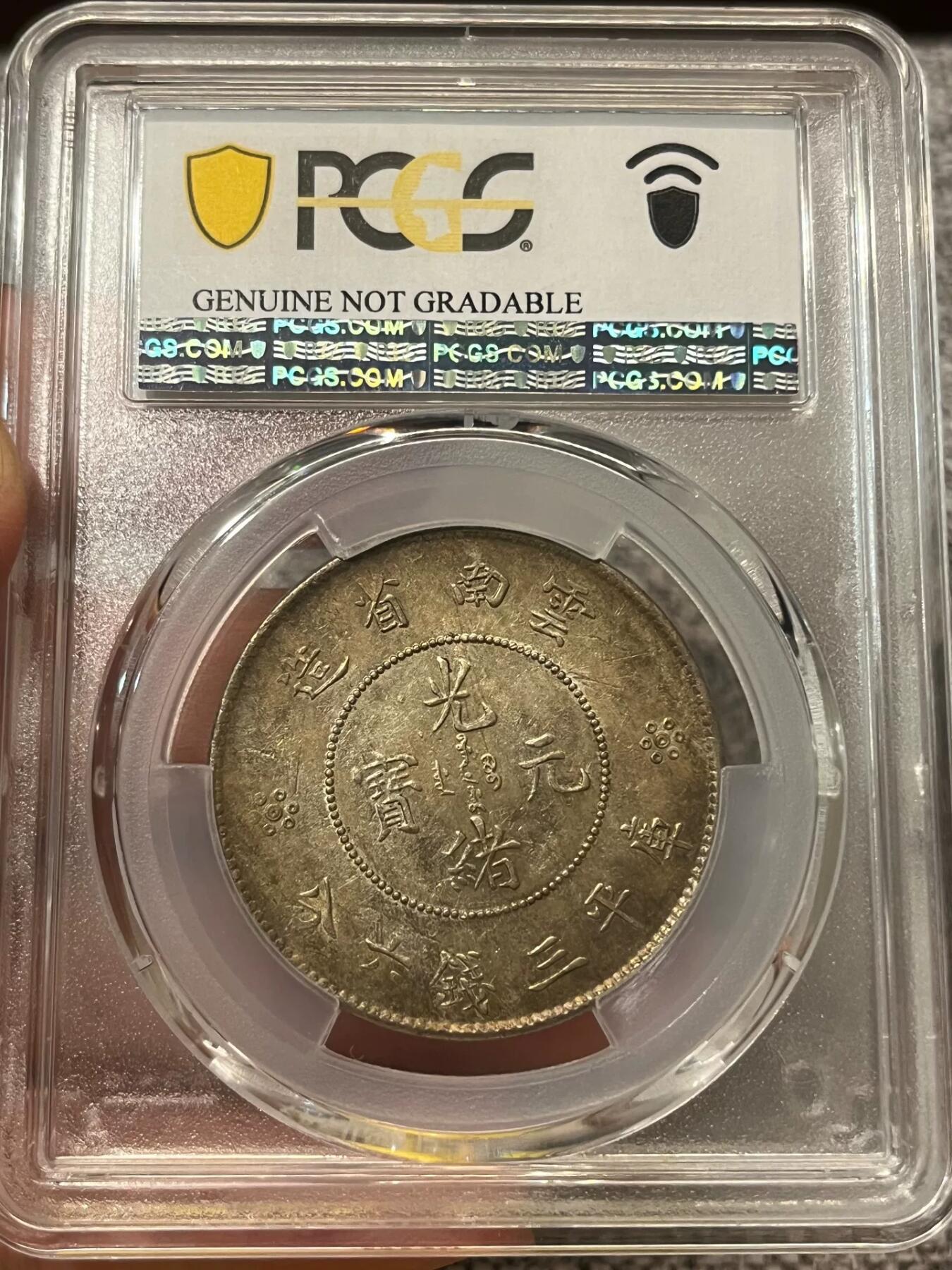 换藏云南半圆龙，马尾珠小珍珠