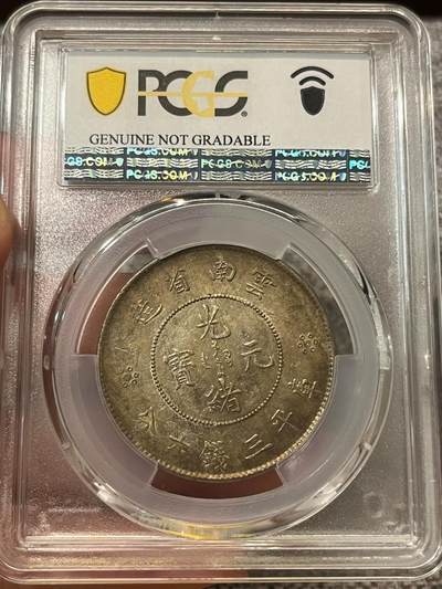 换藏云南半圆龙，马尾珠小珍珠