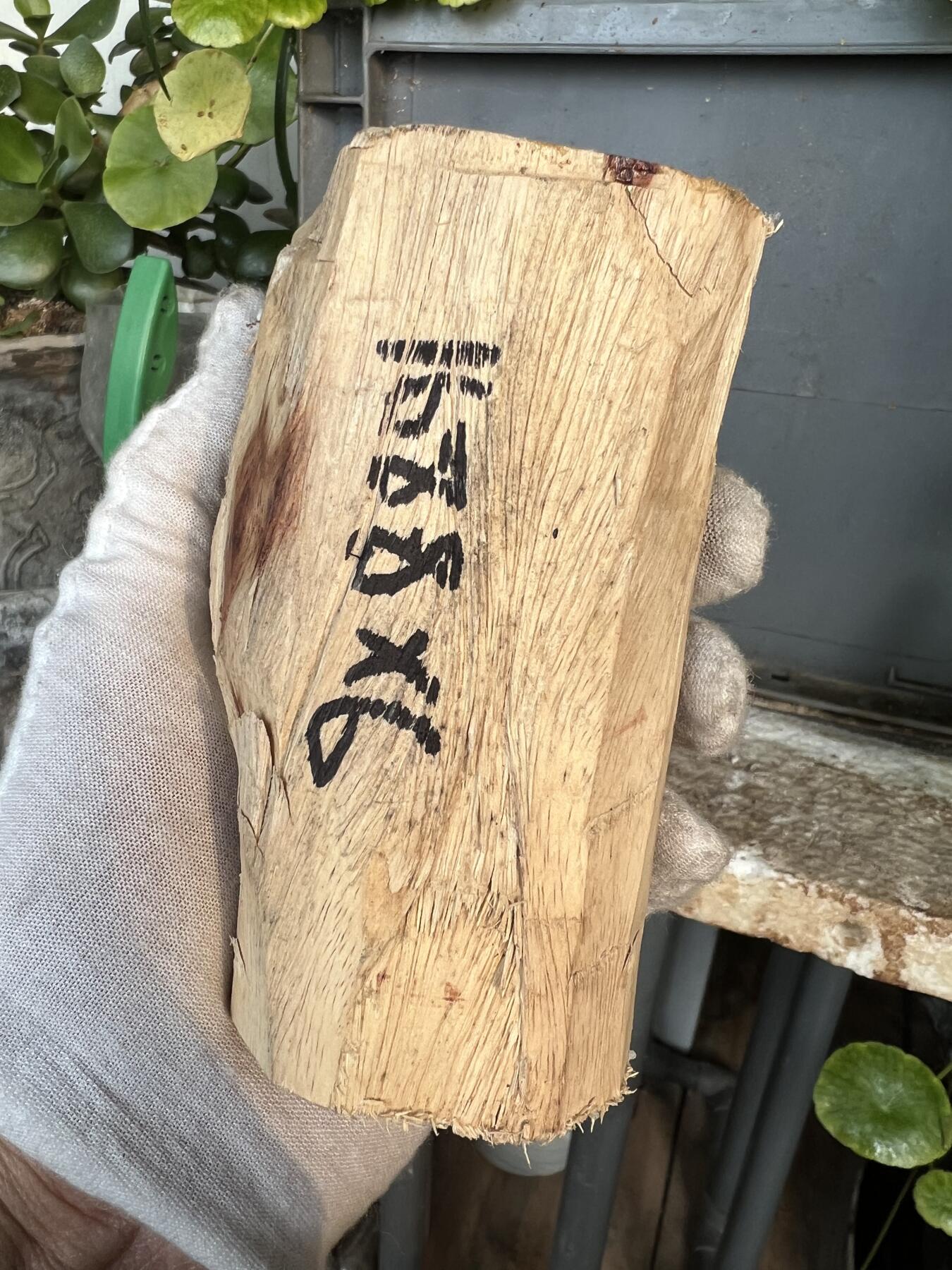 零元拍：  1688/6 海南黄花梨原料。因为料子不规则，尺寸为大约尺寸：113/54/60/52/48MM