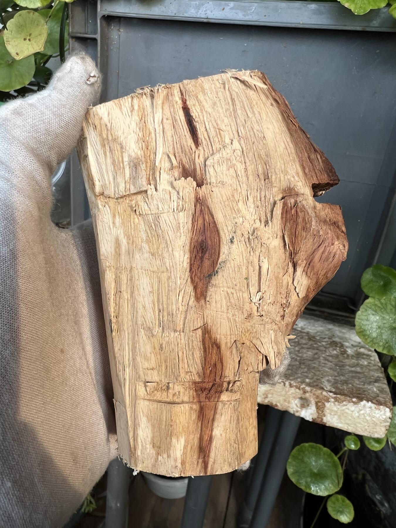 零元拍：  1688/6 海南黄花梨原料。因为料子不规则，尺寸为大约尺寸：113/54/60/52/48MM