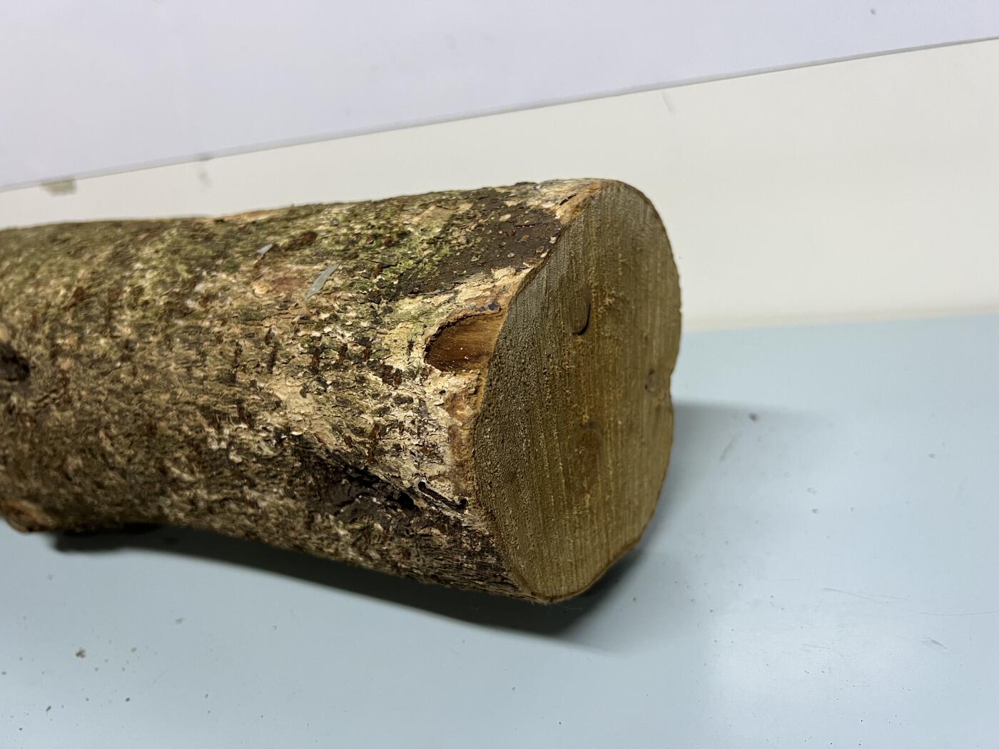 零元拍： 1222-1 金丝楠 原木 风水柱 横财（材）带皮， 尺寸：64/12/11/CM。