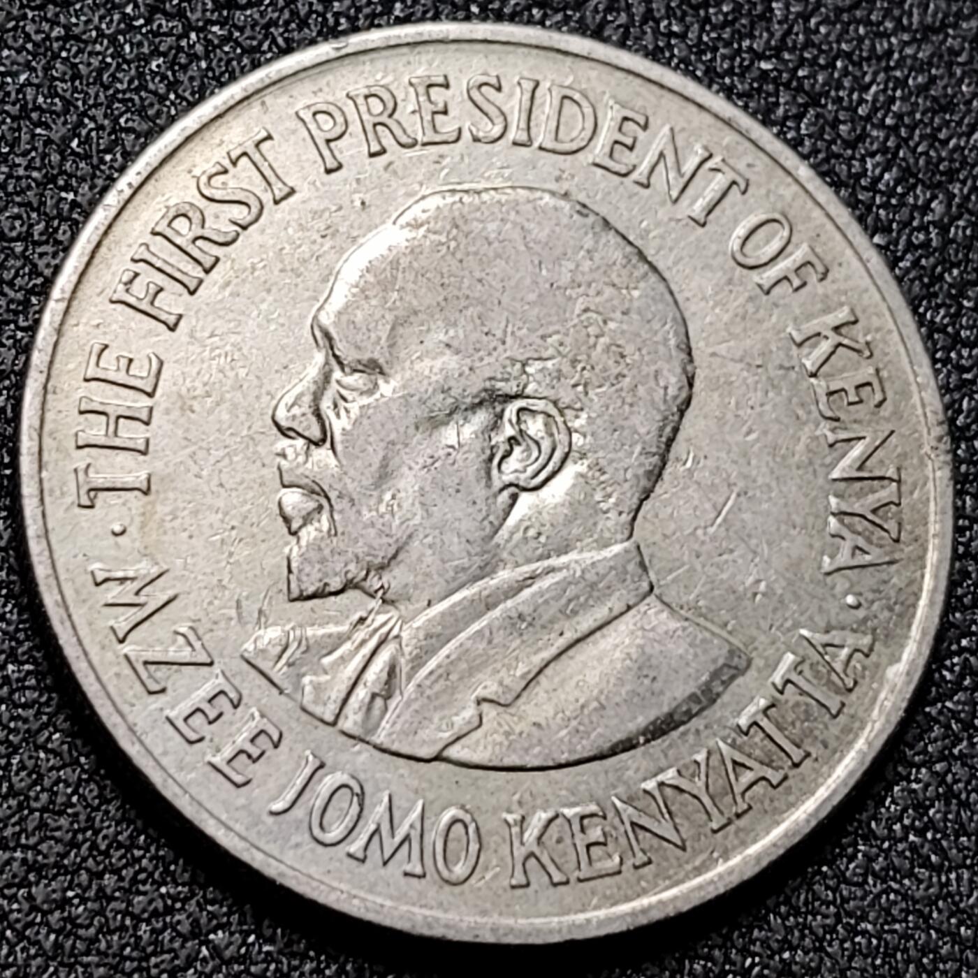 泉币菌-第153场-平安夜专场 。