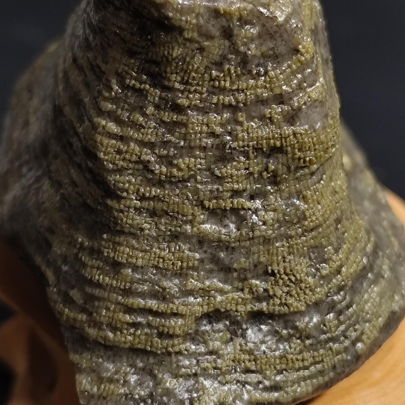 希腊罗马丝路打制币化石【中外钱币放漏】专场！陆小鱼的钱币仓，限时拍卖第080场 4.5亿年前奥陶纪时期海洋古生物化石标本83.9g