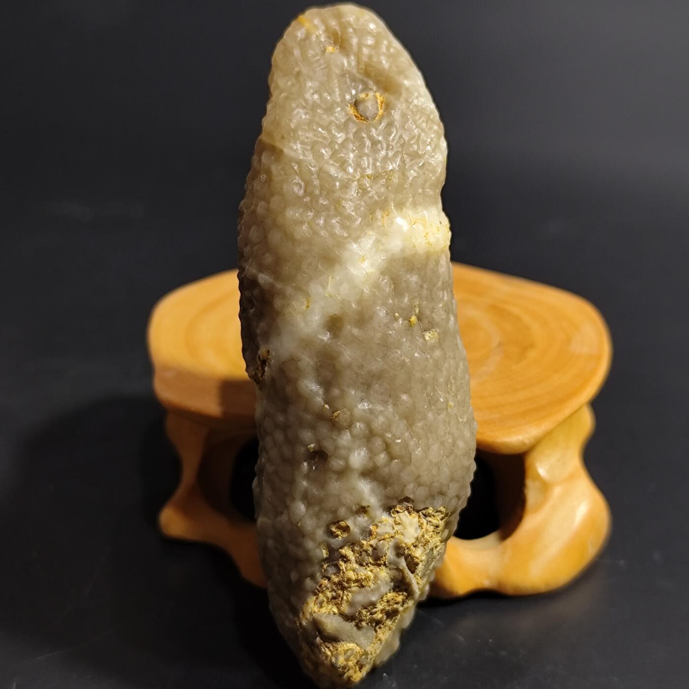 希腊罗马丝路打制币化石【中外钱币放漏】专场！陆小鱼的钱币仓，限时拍卖第080场 4.5亿年前奥陶纪时期海洋古生物化石标本49g