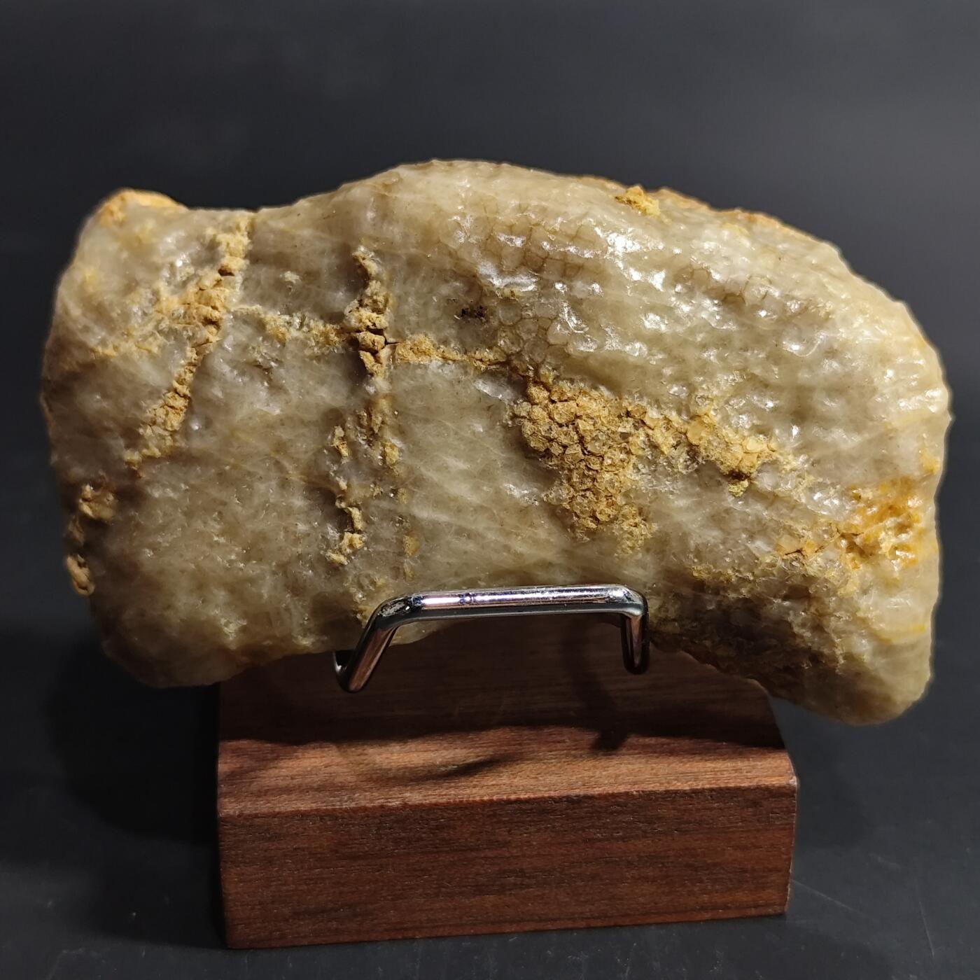 希腊罗马丝路打制币化石【中外钱币放漏】专场！陆小鱼的钱币仓，限时拍卖第080场 4.5亿年前奥陶纪时期海洋古生物化石标本109g