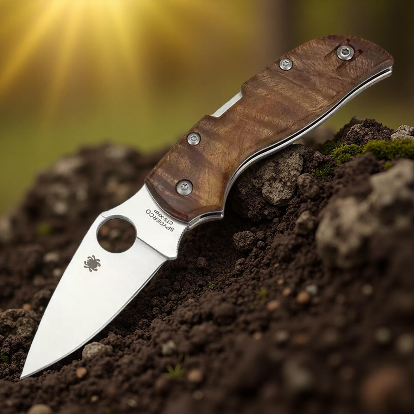 蜘蛛 c152影木柄折刀