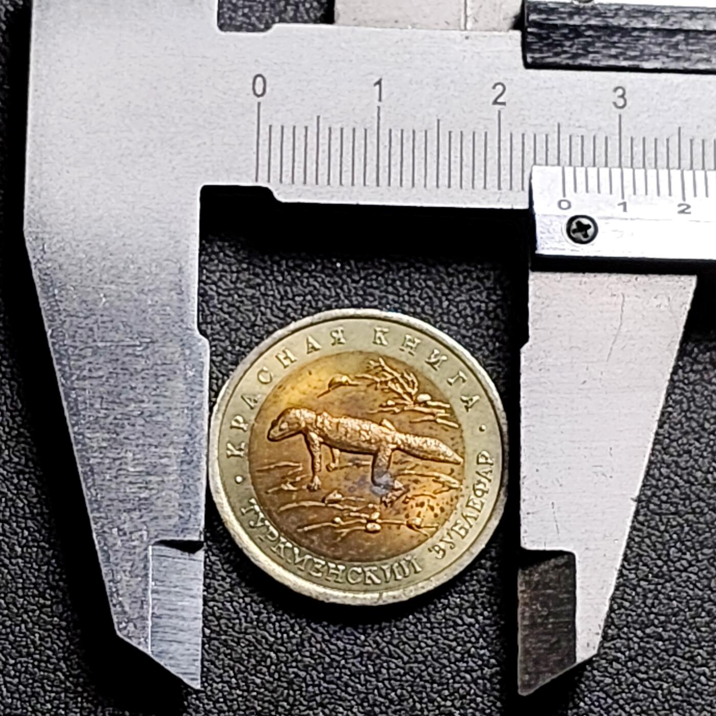 泉币菌-第153场-平安夜专场 。