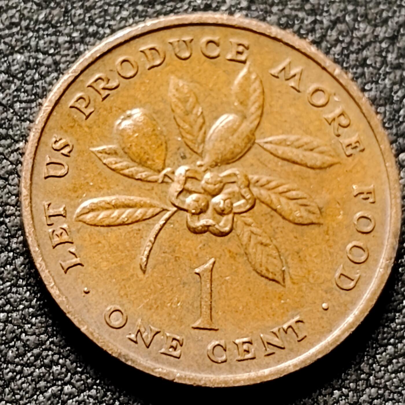 泉币菌-第153场-平安夜专场 。