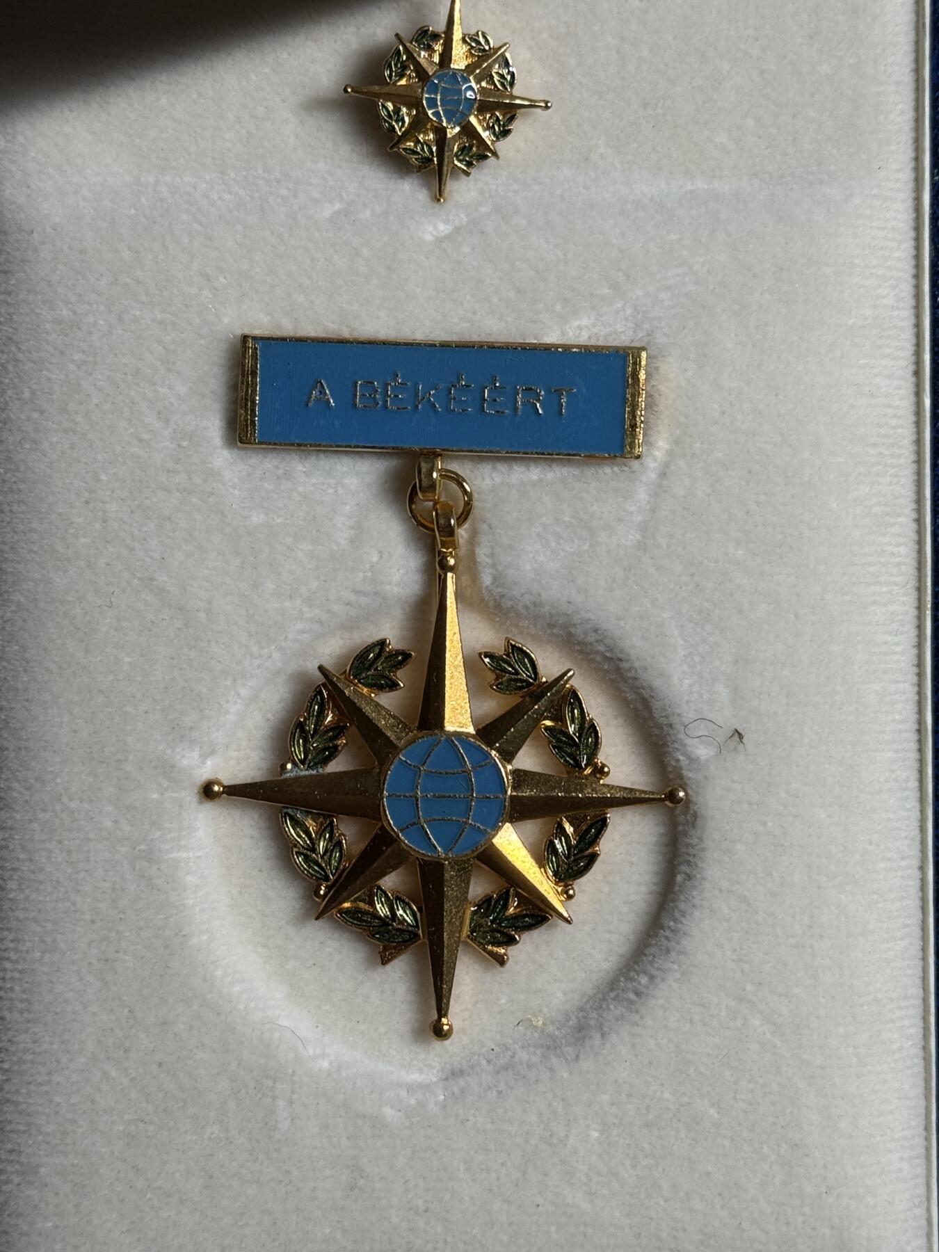 欢庆元旦！戎马世界章牌大赏第109期元旦大拍