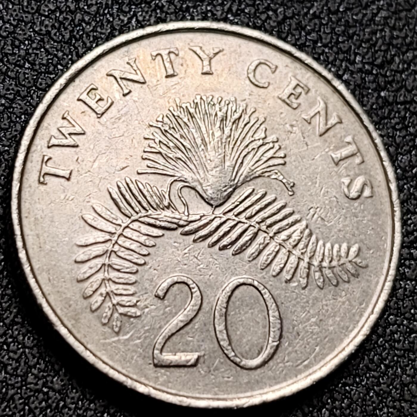 泉币菌-第153场-平安夜专场 。