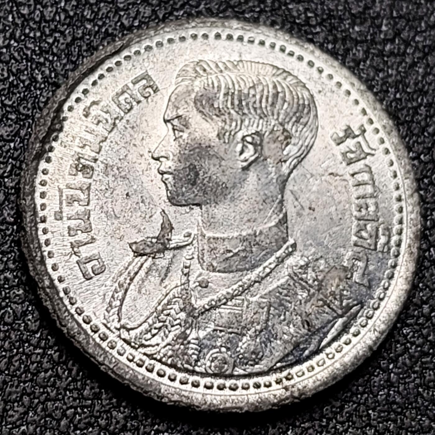 泉币菌-第153场-平安夜专场 。