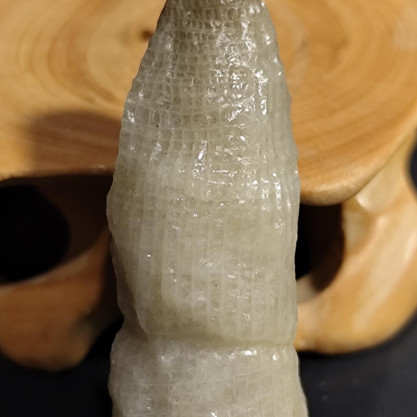 希腊罗马丝路打制币化石【中外钱币放漏】专场！陆小鱼的钱币仓，限时拍卖第080场 4.5亿年前奥陶纪时期海洋古生物化石标本18.9g