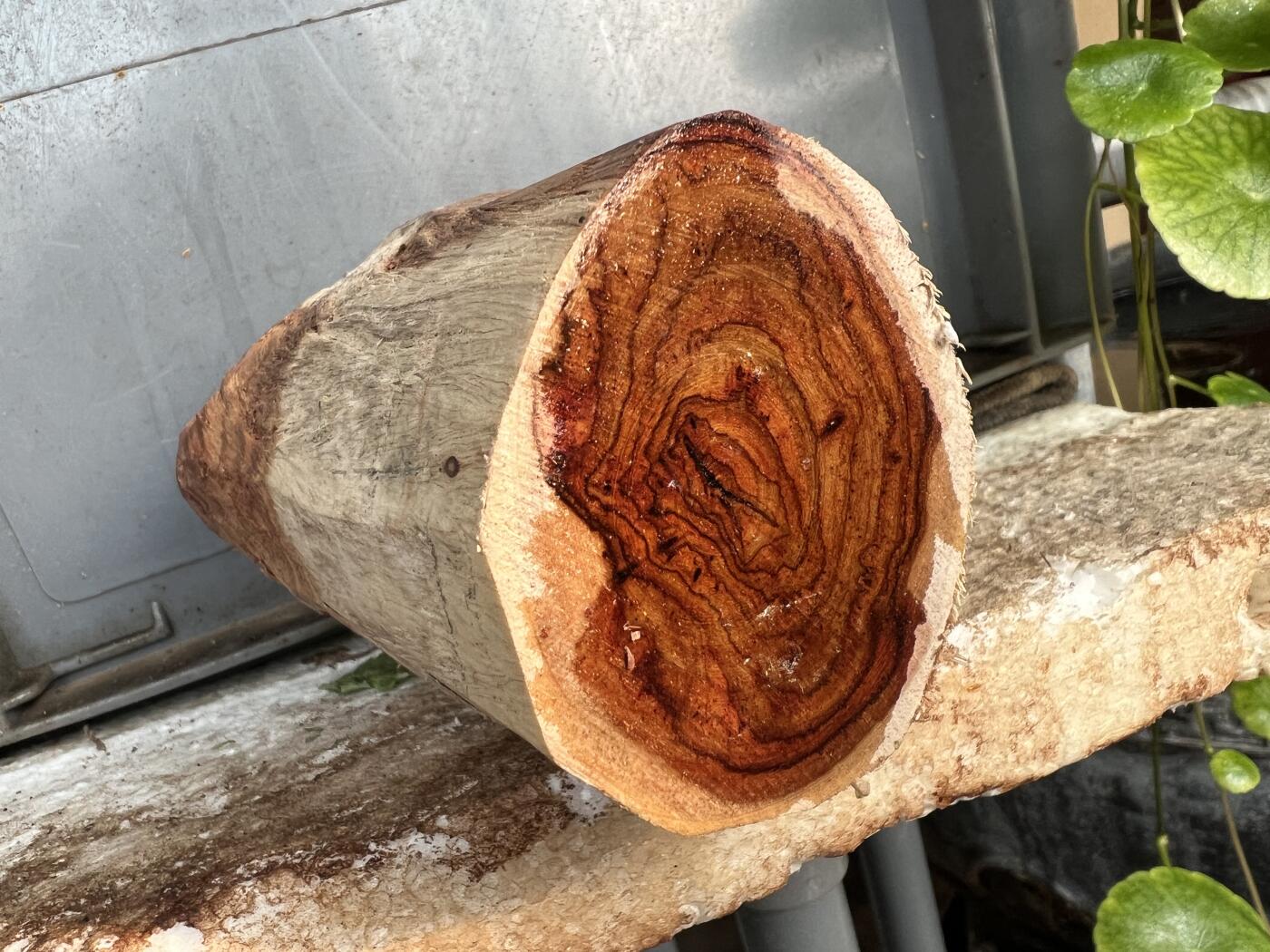 零元拍：  1688/6 海南黄花梨原料。因为料子不规则，尺寸为大约尺寸：113/54/60/52/48MM