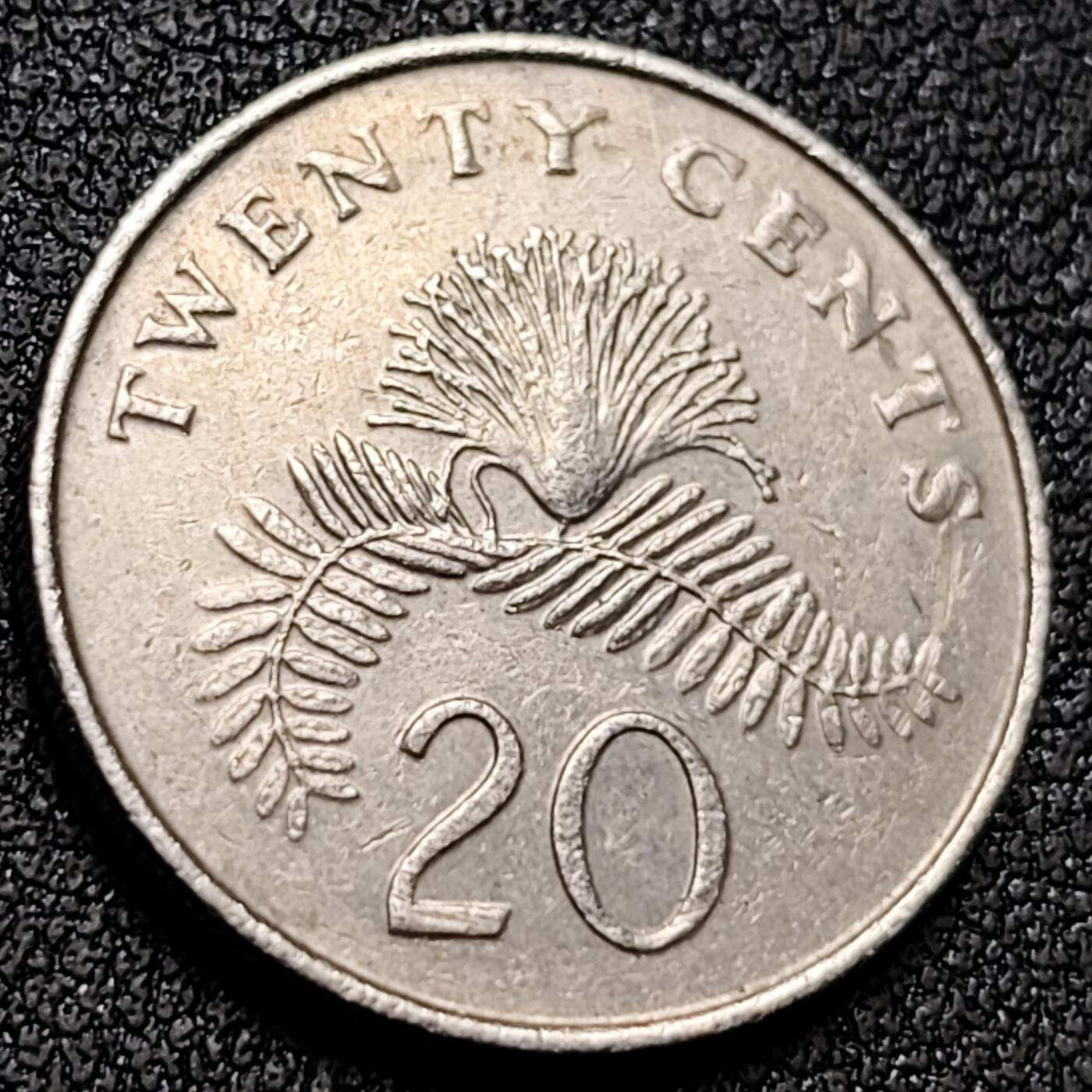 泉币菌-第153场-平安夜专场 。