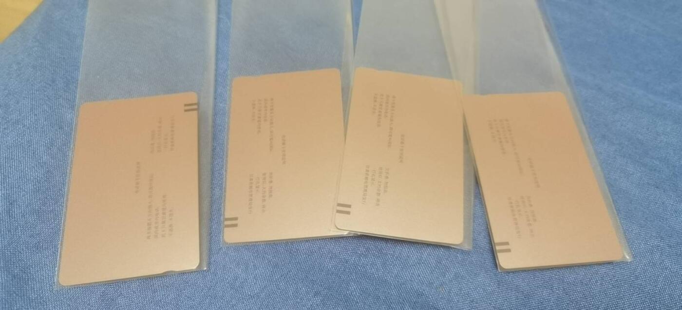 甘肃省田村卡仕女图