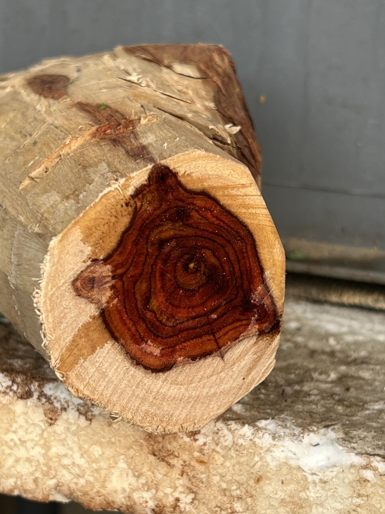 零元拍：  1688/6 海南黄花梨原料。因为料子不规则，尺寸为大约尺寸：113/54/60/52/48MM