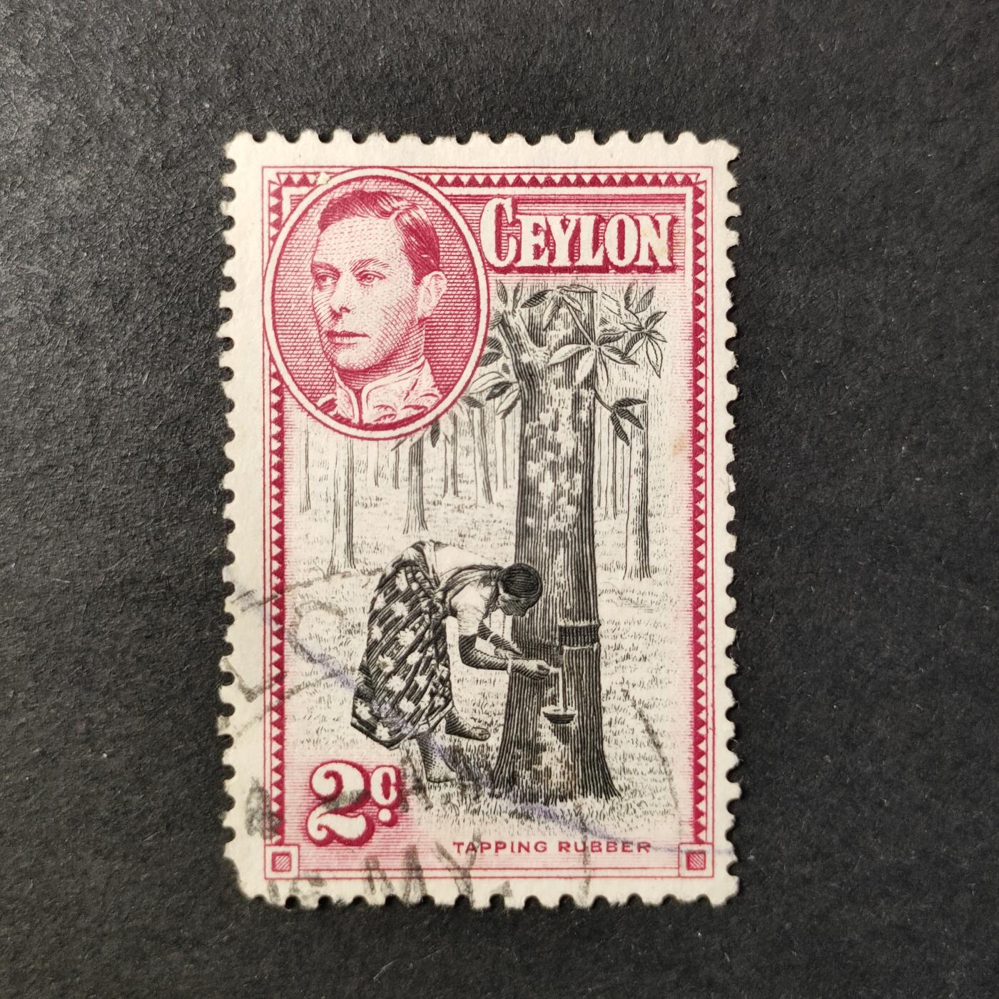 嘉禾收藏    【第417期】            无佣金、可寄存、满30元包邮 邮票一枚