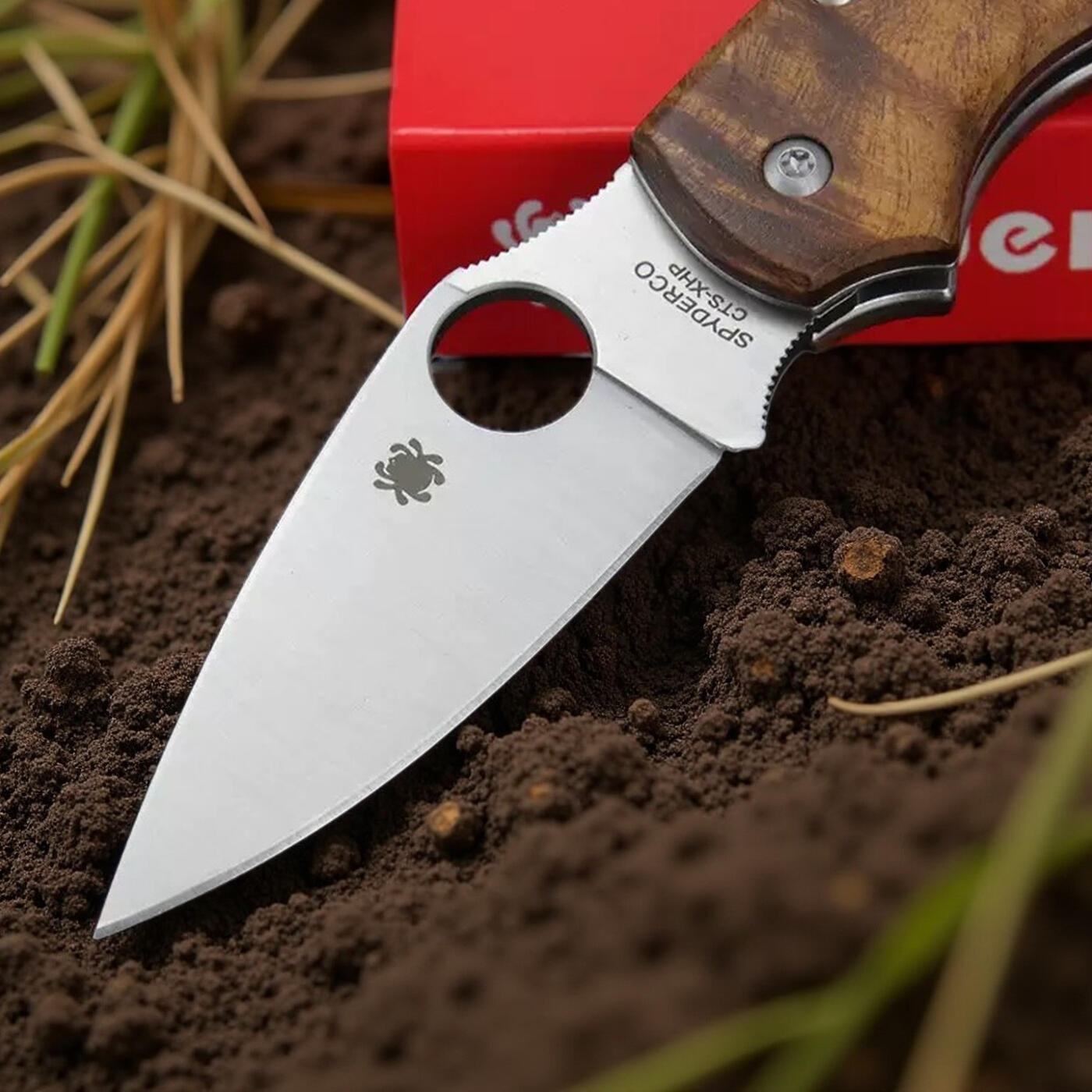 蜘蛛 c152影木柄折刀