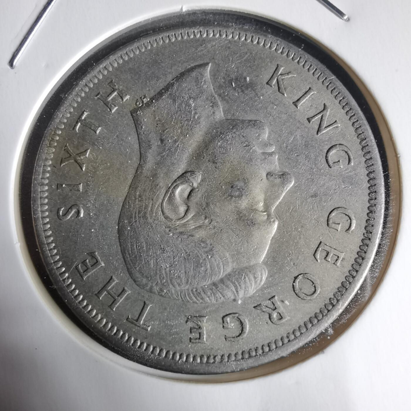 沼泽如烟--第944场