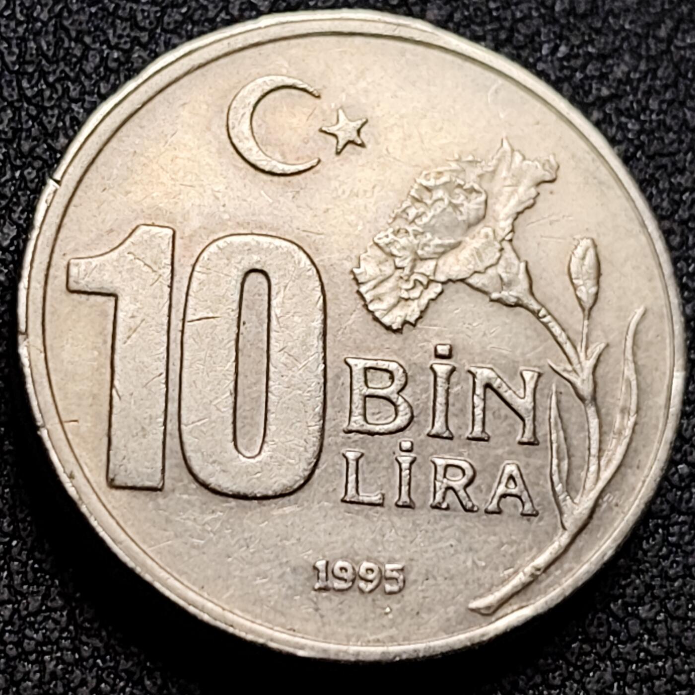 泉币菌-第154场-圣诞节专场 。