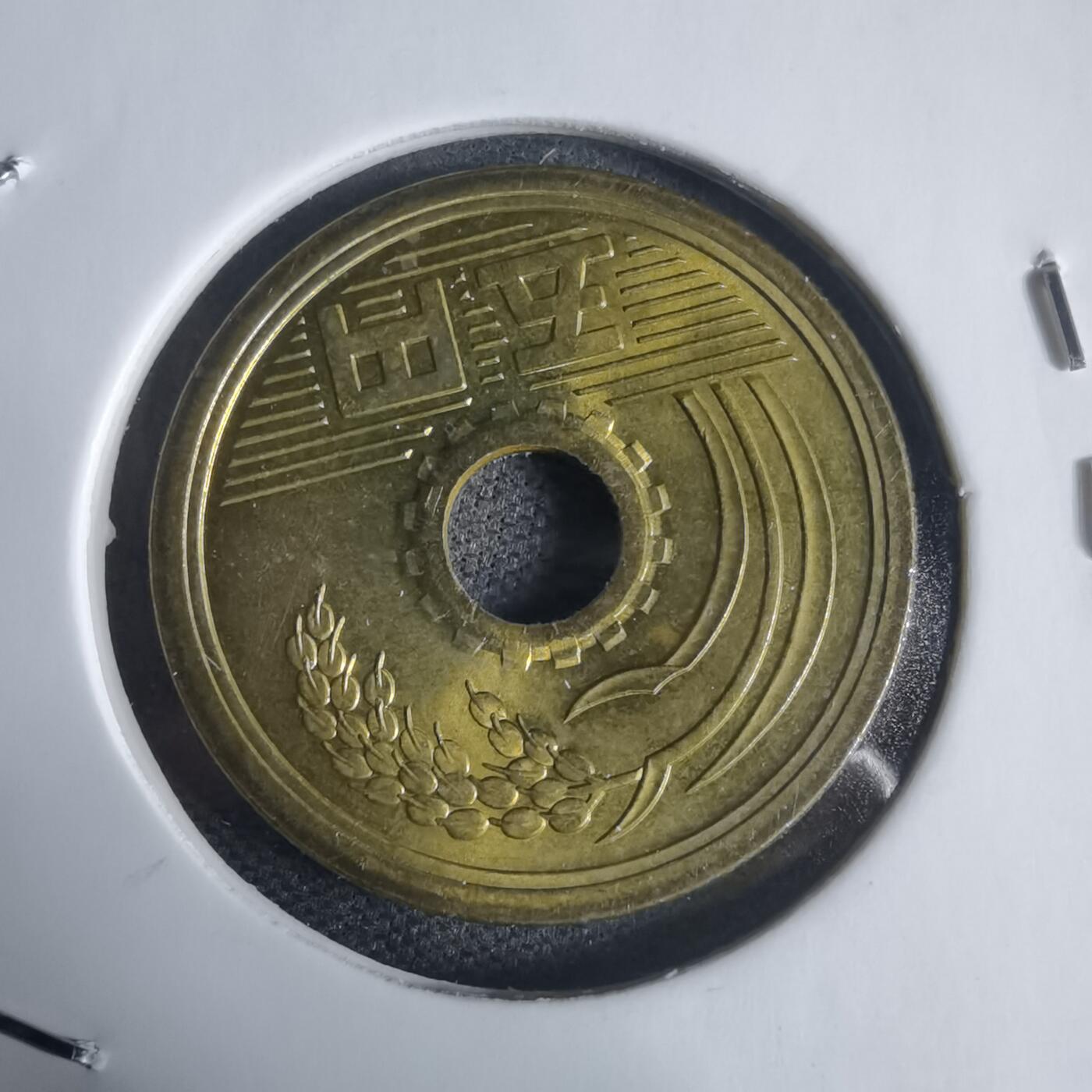 沼泽如烟--第944场