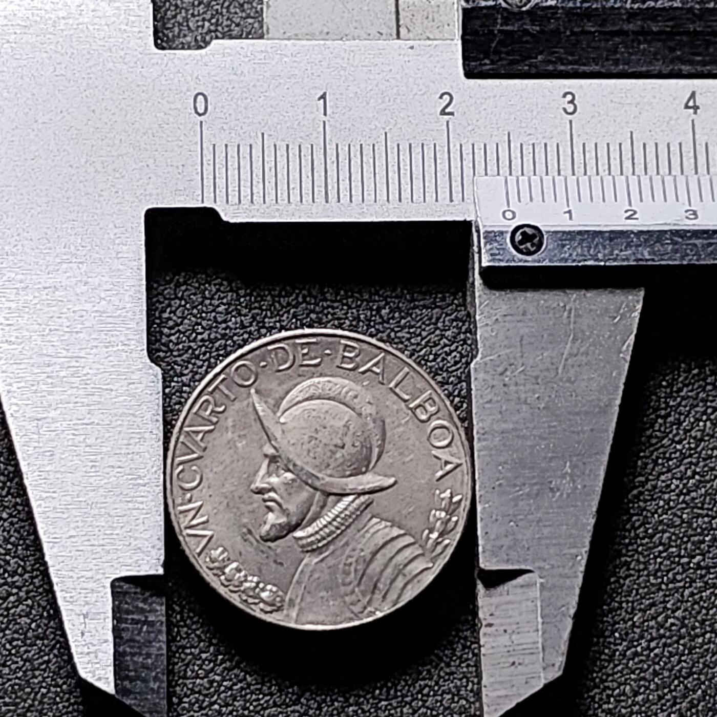 泉币菌-第153场-平安夜专场 。