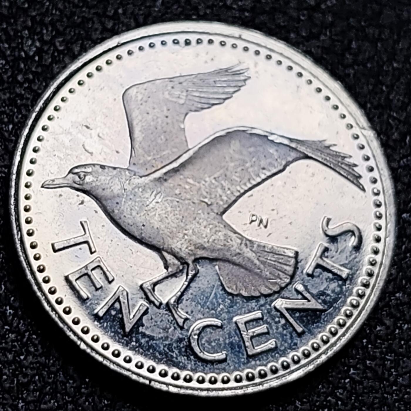 泉币菌-第154场-圣诞节专场 。