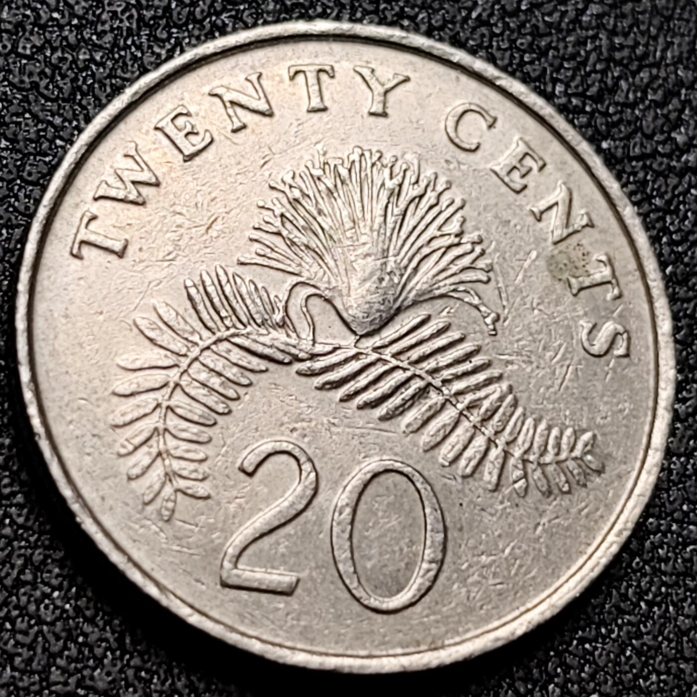 泉币菌-第153场-平安夜专场 。